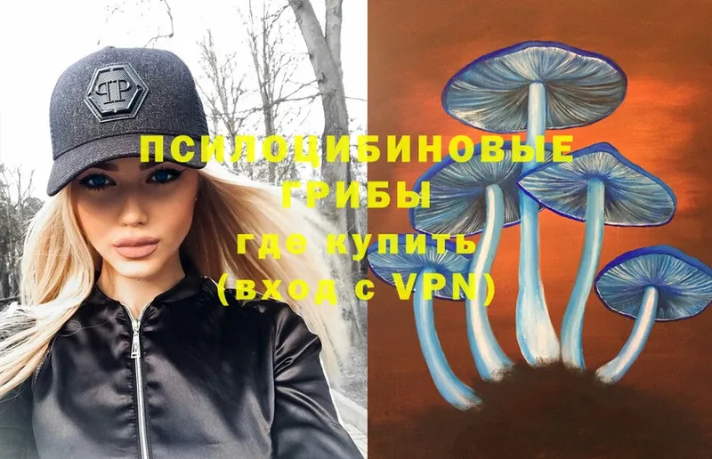 Галлюциногенные грибы Psilocybe  Анадырь 